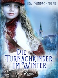 Die Turnachkinder im Winter - Ida Bindschedler - E-Book