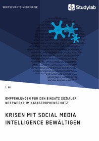 Krisen mit Social Media Intelligence bewältigen. Empfehlungen für den Einsatz sozialer Netzwerke im Katastrophenschutz - C. Br. - E-Book