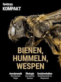 Spektrum Kompakt - Bienen, Hummeln, Wespen -  - E-Book