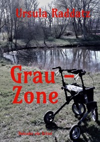 Grau-Zone - Ursula Raddatz - E-Book