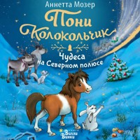 Пони Колокольчик. Чудеса на Северном полюсе - Аннетта Мозер - Hörbuch