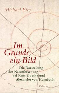 Im Grunde ein Bild - Michael Bies - E-Book