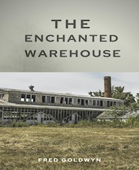 The Enchanted Warehouse - Fred Goldwyn - E-Book
