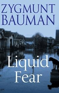 Liquid Fear - Zygmunt Bauman - E-Book
