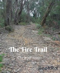 The Fire Trail - Chris Johnson - E-Book