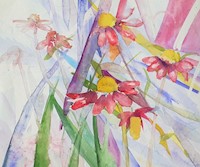 La Última de Los hijos de los Pioneros Peregrinos Caminantes - R. ELIZABETH S. C. SELIG - E-Book