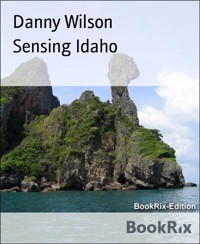 Sensing Idaho - Danny Wilson - E-Book