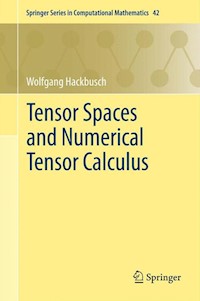 Tensor Spaces and Numerical Tensor Calculus - Wolfgang Hackbusch - E-Book
