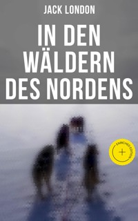 In den Wäldern des Nordens - Jack London - E-Book