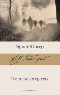 В стальных грозах - Эрнст Юнгер - E-Book