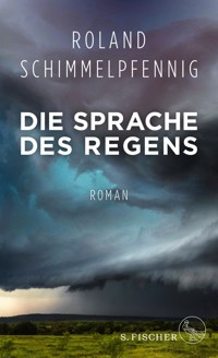 Die Sprache des Regens - Roland Schimmelpfennig  - E-Book