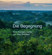 Die Begegnung - Alex Schuebert - E-Book