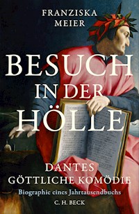Besuch in der Hölle - Franziska Meier - E-Book