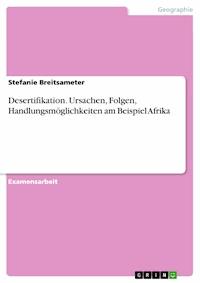 Desertifikation. Ursachen, Folgen, Handlungsmöglichkeiten am Beispiel Afrika - Stefanie Breitsameter - E-Book