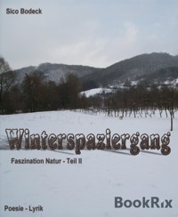 Winterspaziergang - Sico Bodeck - E-Book