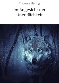 Im Angesicht der Unendlichkeit - Thomas Häring - E-Book