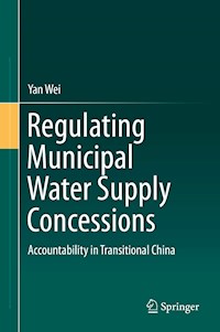 Regulating Municipal Water Supply Concessions - Wei Yan - E-Book
