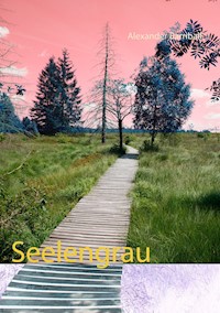 Seelengrau - Alexander Barriball - E-Book