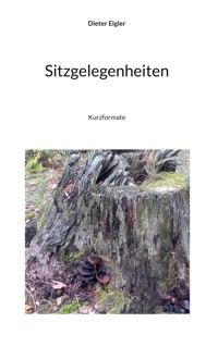 Sitzgelegenheit - Dieter Eigler - E-Book