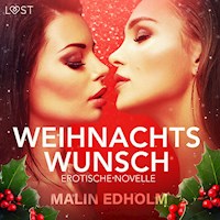 Weihnachtswunsch: Erotische Novelle - Malin Edholm - Hörbuch