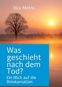 Was geschieht nach dem Tod? - Ilka Mekki - E-Book