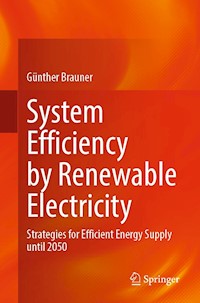 System Efficiency by Renewable Electricity - Günther Brauner - E-Book
