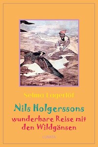 Nils Holgerssons wunderbare Reise mit den Wildgänsen - Selma  Lagerlöf - E-Book