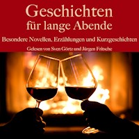 Geschichten für lange Abende - Edgar Allan Poe - Hörbuch