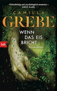 Wenn das Eis bricht - Camilla Grebe - E-Book