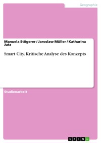Smart City. Kritische Analyse des Konzepts - Manuela Stögerer - E-Book