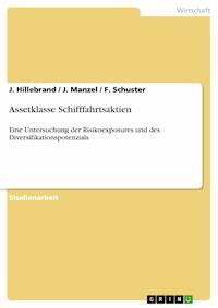 Assetklasse Schifffahrtsaktien - J. Hillebrand - E-Book