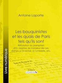 Les bouquinistes et les quais de Paris tels qu'ils sont - Antoine Laporte - E-Book