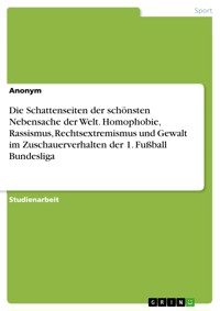 Die Schattenseiten der schönsten Nebensache der Welt. Homophobie, Rassismus, Rechtsextremismus und Gewalt im Zuschauerverhalten der 1. Fußball Bundesliga - Nina Sauter - E-Book