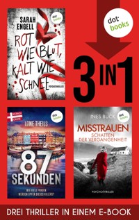 Rot wie Blut, kalt wie Schnee & 84 Sekunden & Misstrauen - Sarah Engell - E-Book