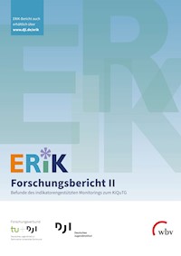 ERiK-Forschungsbericht II - Nicole Klinkhammer - kostenlos E-Book