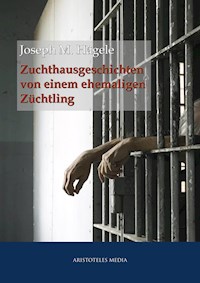 Zuchthausgeschichten von einem ehemaligen Züchtling - Joseph M. Hägele - E-Book