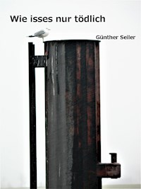 Wie isses nur tödlich - Günther Seiler - E-Book