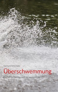 Überschwemmung - Gerhard Drechsler - E-Book