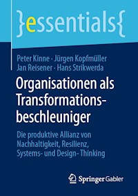 Organisationen als Transformationsbeschleuniger - Peter Kinne - E-Book