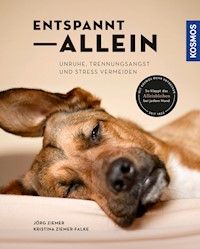 Entspannt allein - Kristina Ziemer-Falke - E-Book
