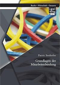 Grundlagen der Mitarbeiterbindung - Patric Seehofer - E-Book