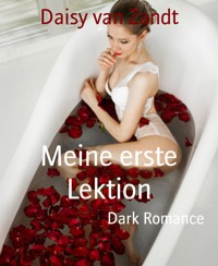 Meine erste Lektion - Daisy van Zandt - E-Book