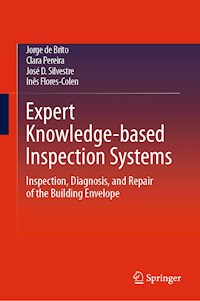 Expert Knowledge-based Inspection Systems - Jorge de Brito - E-Book
