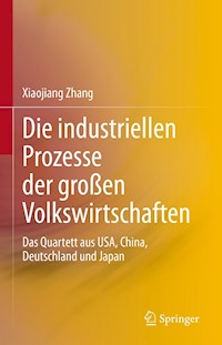 Die industriellen Prozesse der großen Volkswirtschaften - Xiaojiang Zhang - E-Book