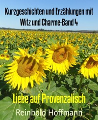Kurzgeschichten und Erzählungen mit Witz und Charme-Band 4 - Reinhold Hoffmann - E-Book