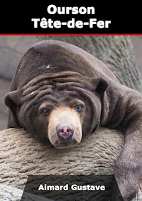 Ourson Tête-de-Fer - Aimard Gustave - E-Book
