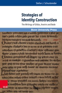 Strategies of Identity Construction - Stefan J. Schustereder - E-Book