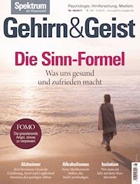 Gehirn&Geist 8/2017 -Die Sinn-Formel -  - E-Book