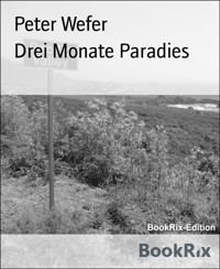 Drei Monate Paradies - Peter Wefer - E-Book
