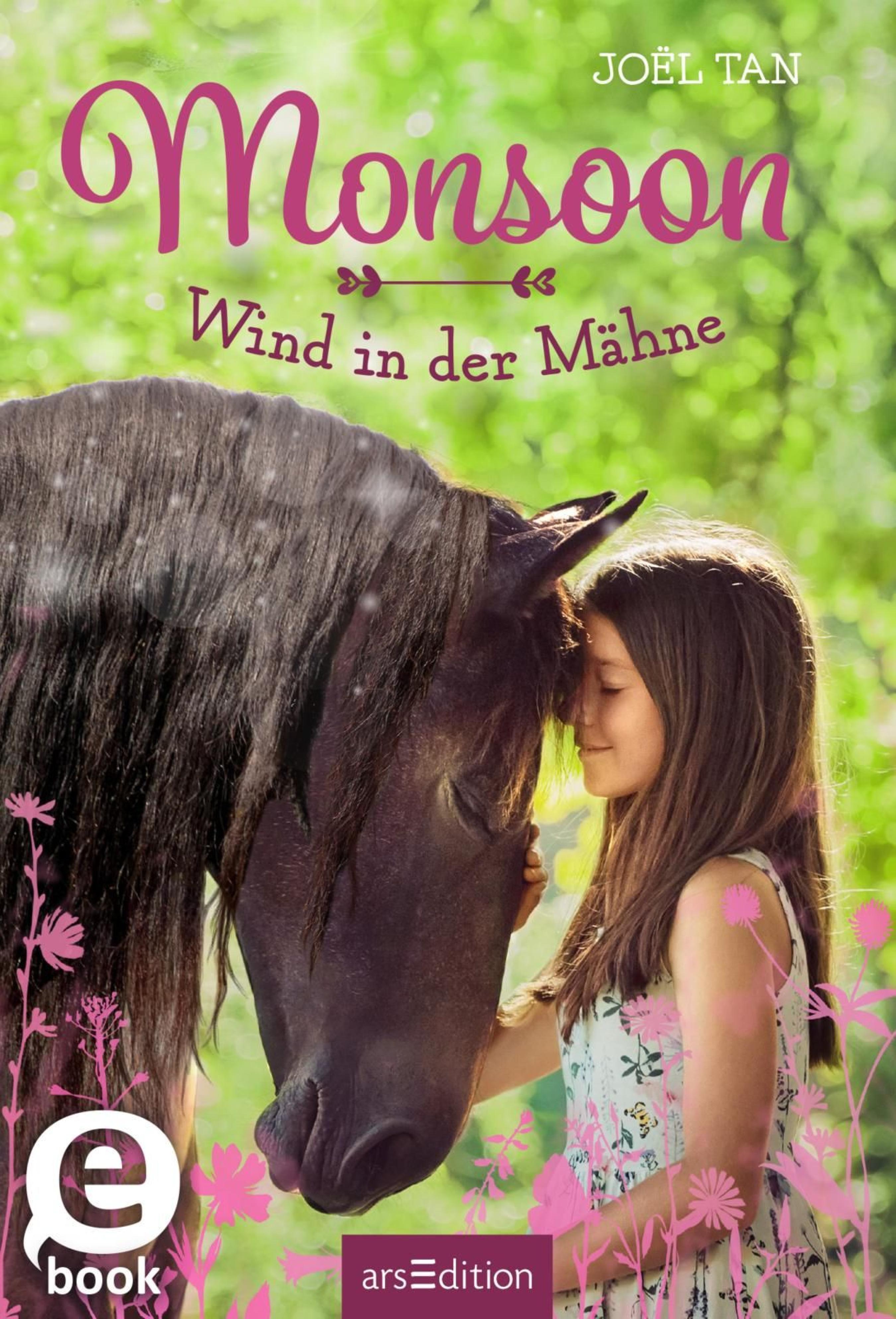 Monsoon – Wind in der Mähne - Joël Tan - E-Book